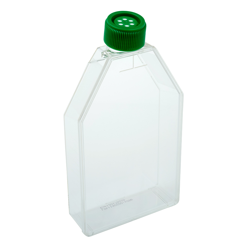 GO0190-Tissue Culture Flask